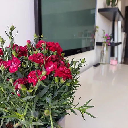 Apartment Primavera Springs *